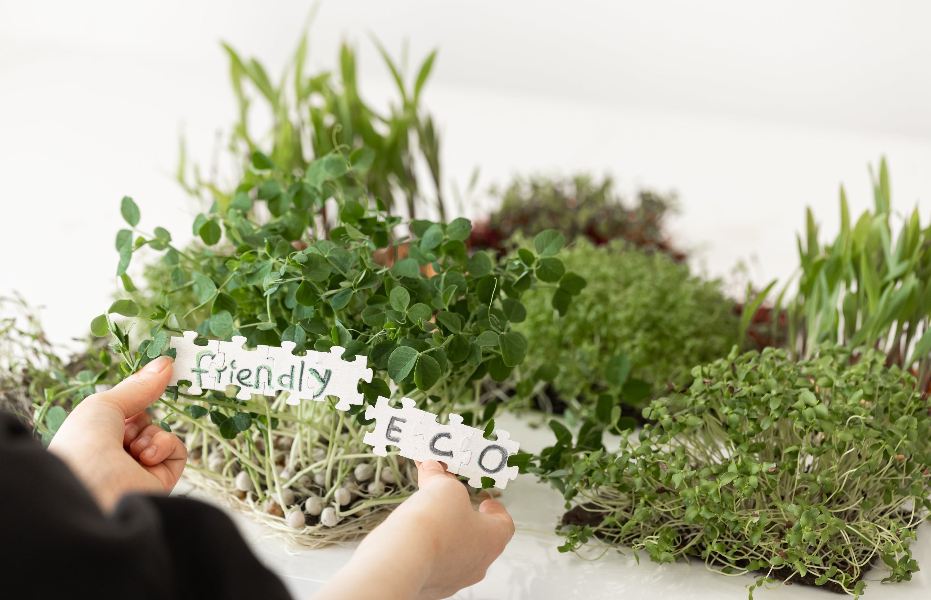 Why Choose Organic Products for a Healthy Lifestyle?